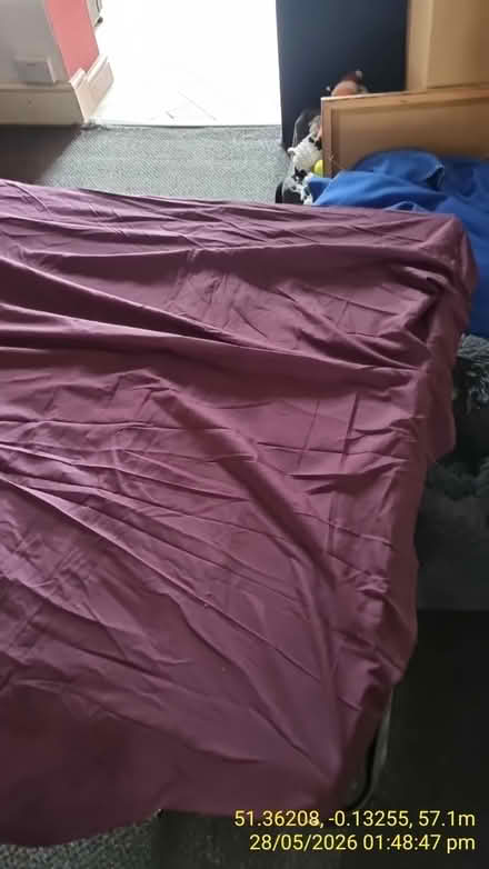 Photo of free Sofa Bed (Wallington SM6) #1