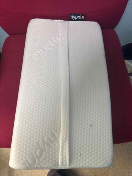 Photo of free Hypnia pillow (Bideford EX39) #2