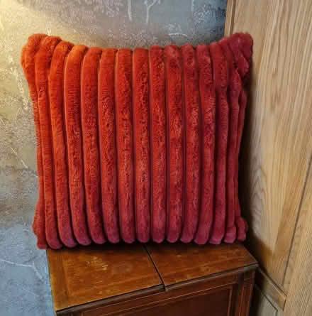 Photo of free Soft red new Dunelm cushions (Broadbridge Heath, RH12) #2