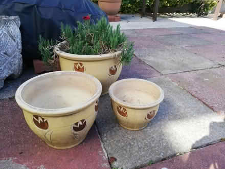 Photo of free 3 Matching Garden Pots (BS30) #1