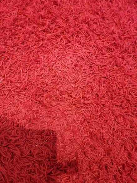 Photo of free Shaggy rug (B90 4st) #1