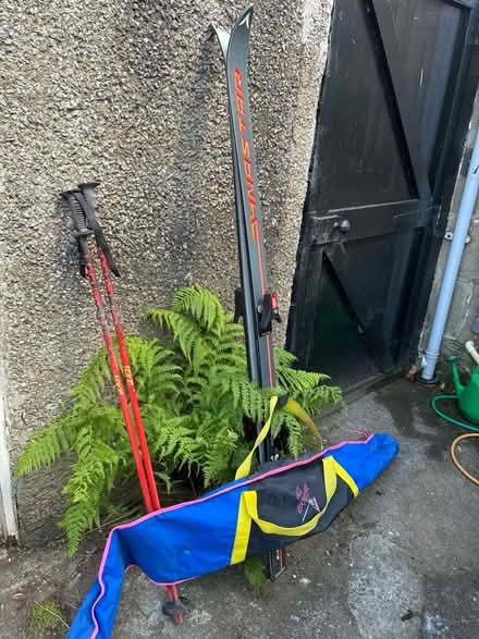 Photo of free Skis (Kirkcaldy KY1) #1