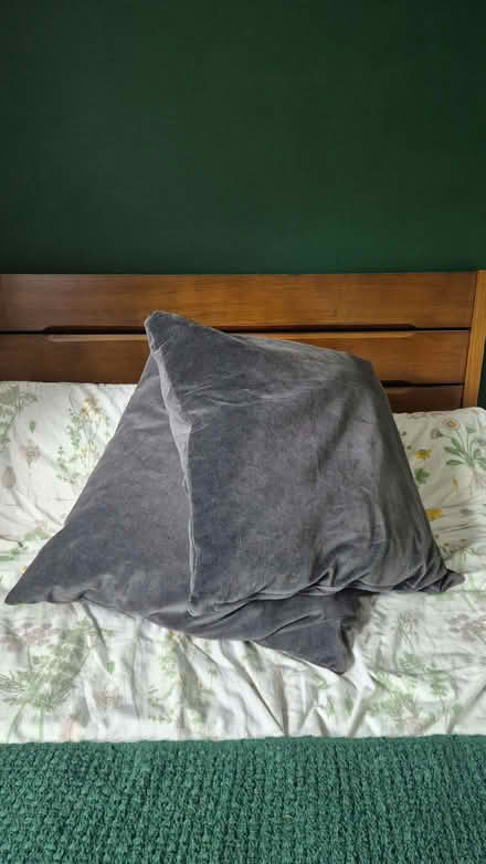 Photo of free Large Grey Velvet Cushions (South Woodham Ferrers CM3) #2