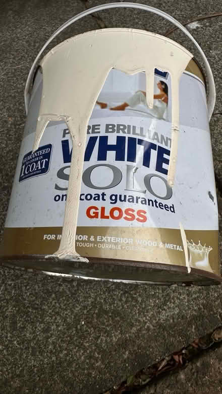 Photo of free Gloss paint (Hale L24) #1