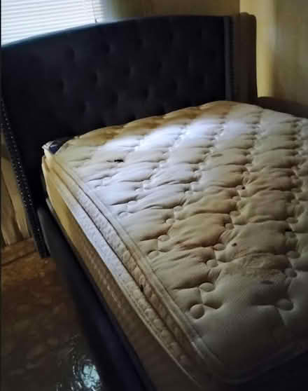 Photo of free Queen and Twin Beds (Hwy 20 @ Capital Cir) #1
