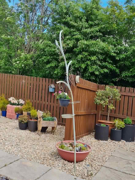 Photo of free Bird feeding station (Glenrothes KY7) #2
