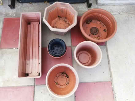 Photo of free Assorted plant pots (BS30) #1