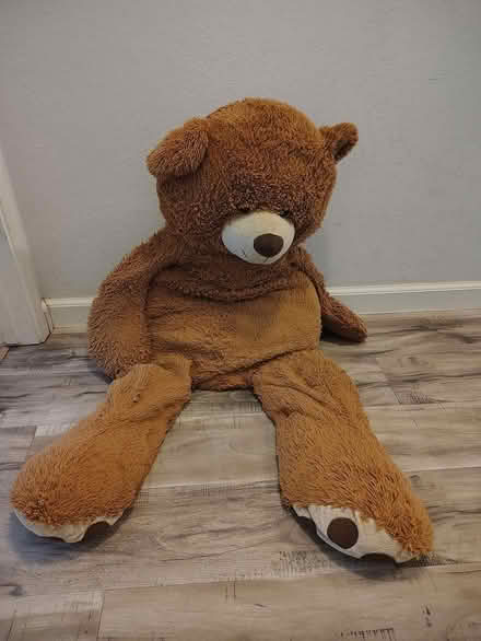 Photo of free large teddy bear (downtown novato) #1