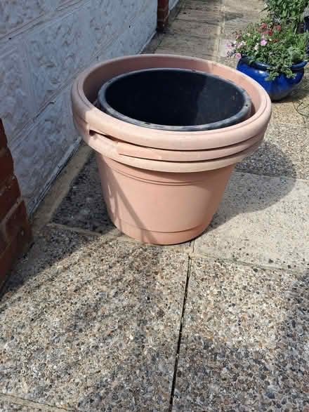 Photo of free large garden pots (High Brooms TN4) #1
