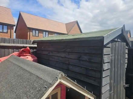 Photo of free Garden shed (Glebe farm mk17) #3