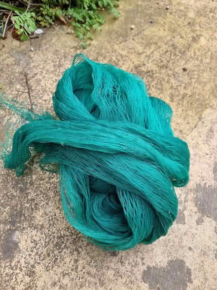 Photo of free Garden netting (Cliffe BN7) #1