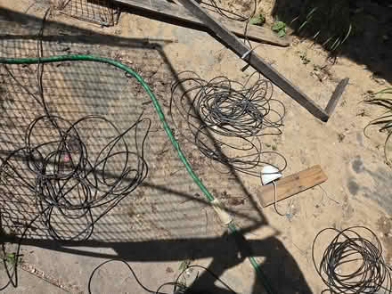 Photo of free Wires (Friendship Heights) #2