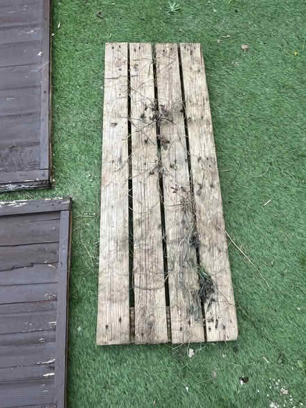 Photo of free Fence panels (Cinderford GL14) #2
