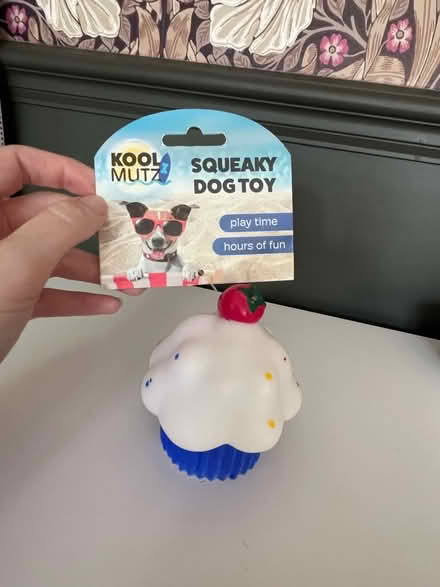 Photo of free Squeaky dog toy (Stoneleigh KT17) #1