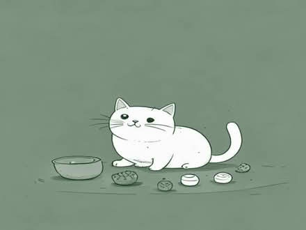 Photo of Cat toys and food (Hadley TF1) #1