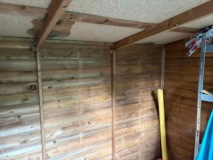 Photo of free Garden shed (Twickenham) #3
