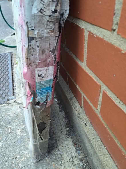 Photo of free Greenhouse Glass (High Town LU2) #3