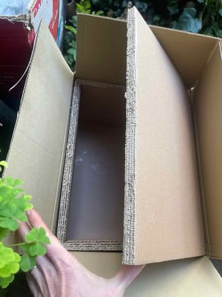 Photo of free Reinforced cardboard boxes (Chalk Farm NW1) #2