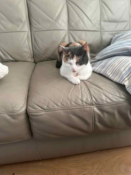 Photo of free Three seater matching reclining chair good quality (Appleton WA8) #4