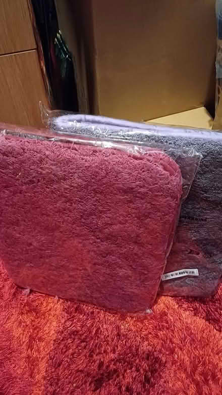 Photo of free 2 bath mats (Chineham RG24) #1