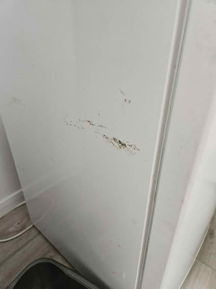 Photo of free Beko Undercounter Freezer (CV3) #2