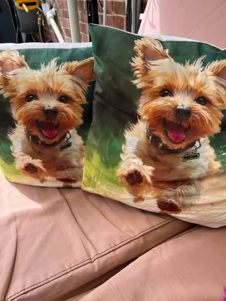 Photo of free Yorkshire Terrier cushions (Hemel Hempstead) #1