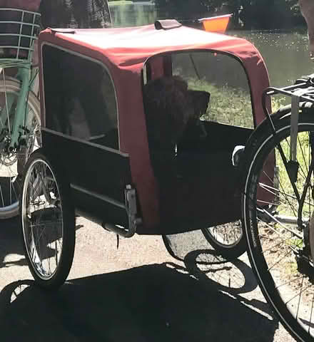 Photo of free Bike trailer for dog (West Hill TN34) #1