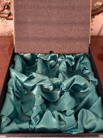 Photo of free 2 padded boxes for fragile items (Coronado) #3