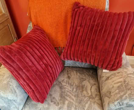 Photo of free Soft red new Dunelm cushions (Broadbridge Heath, RH12) #1
