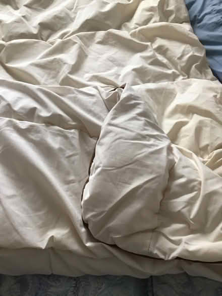Photo of free Double duvet (Stoke Newington N16) #1