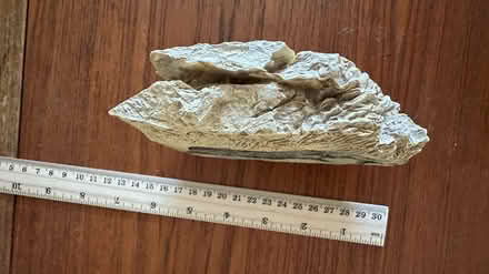 Photo of free Resin elephant stone ornament (Eagle Hill) #4