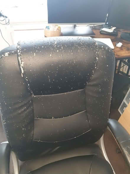 Photo of free Office chair (Hanwell W7) #3