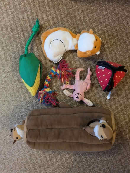 Photo of free Dog toys (Bath BA1) #1