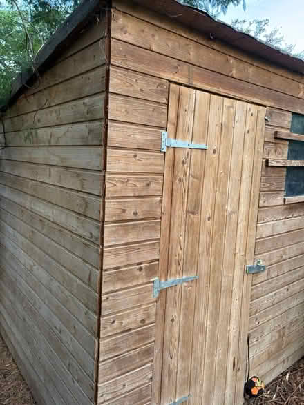 Photo of free Garden shed (Twickenham) #4