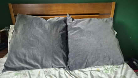 Photo of free Large Grey Velvet Cushions (South Woodham Ferrers CM3) #3