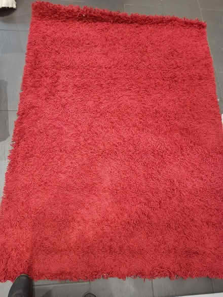 Photo of free Shaggy rug (B90 4st) #2