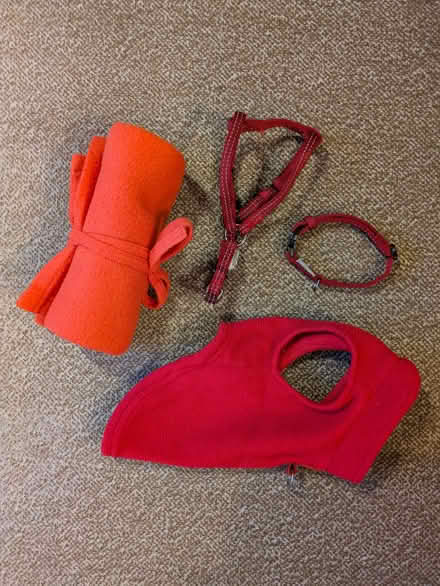Photo of free Puppy or Tiny Dog Things (Bath BA1) #1