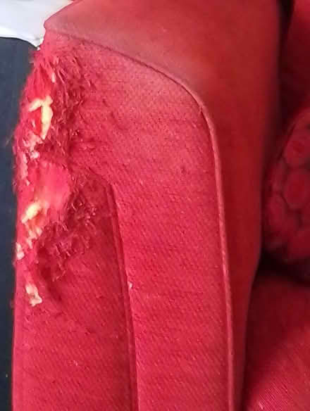 Photo of free Red Sofabed (Ormesby TS6) #2