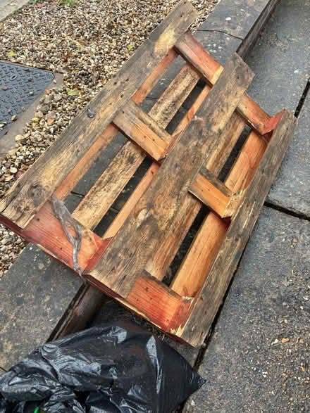 Photo of free Wooden pallet 120 x 80 cm (Bramford IP8) #1