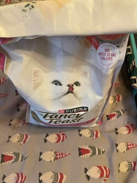Photo of free Fancy feast dry cat food (East Dallas) #1