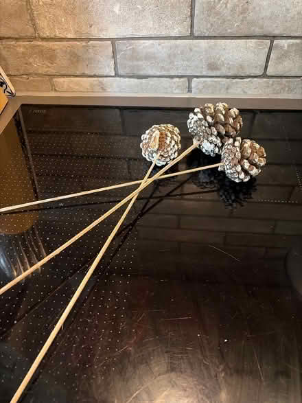 Photo of free Fir cones (Tilehurst RG30) #1