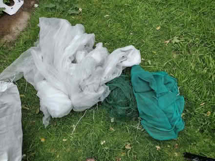 Photo of free Plant protection (Allithwaite LA11) #1
