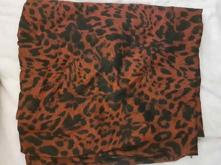 Photo of free Red Leopard Print Material (Birmingham City Centre B4) #2