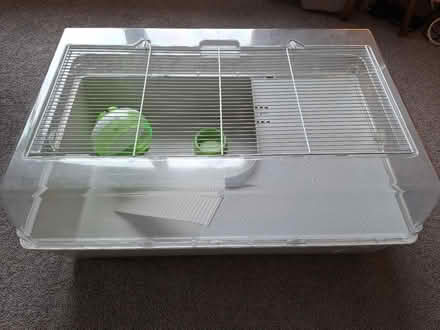 Photo of free Hamster cage with wheel and food bowl (Surrenden BN1) #1
