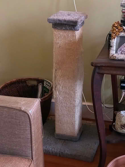 Photo of free Cat scratching post, two toys (01801) #1