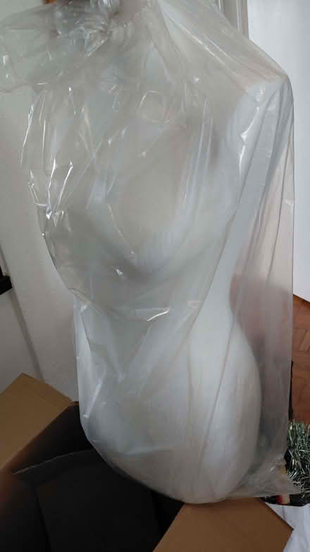 Photo of free Mannequin size 10-12 (Putney SW15) #2