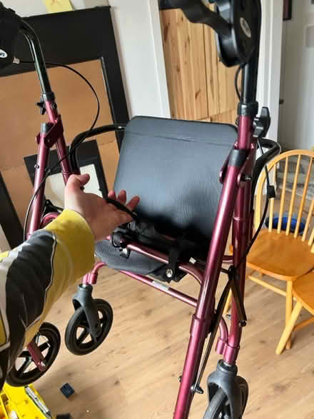 Photo of free Walker/ Rollator (Pilton, EH5) #3