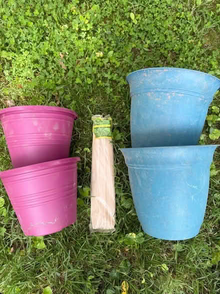 Photo of free Gardening Potting Flower Supplies (Tanley Rd & New Hampshire Ave) #3
