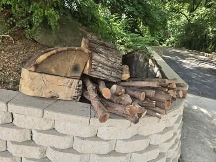Photo of free Oak and Cedar Firewood (North Good Samaritan Hospital) #1