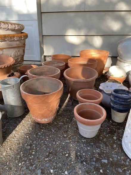 Photo of free Lotsa Pots (Muir Oaks, Martinez) #3